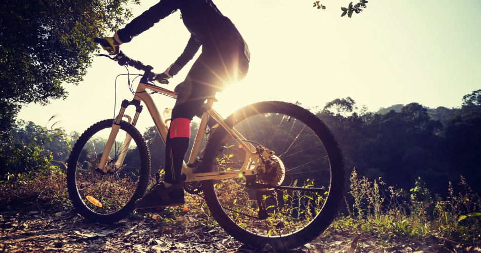 Sunnyvale Adventure Guide: Hiking, Cycling & Fresh-Air Experiences