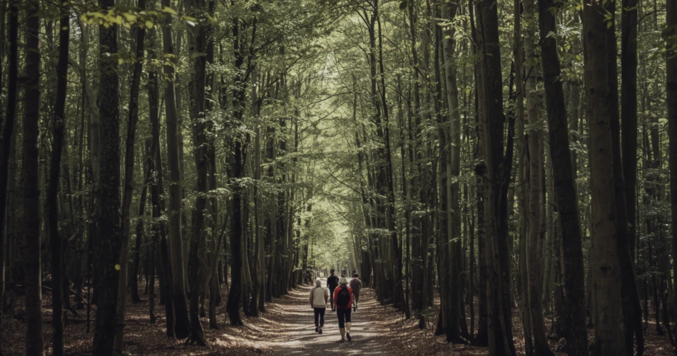 Sunnyvale Adventure Guide: Hiking, Cycling & Fresh-Air Experiences
